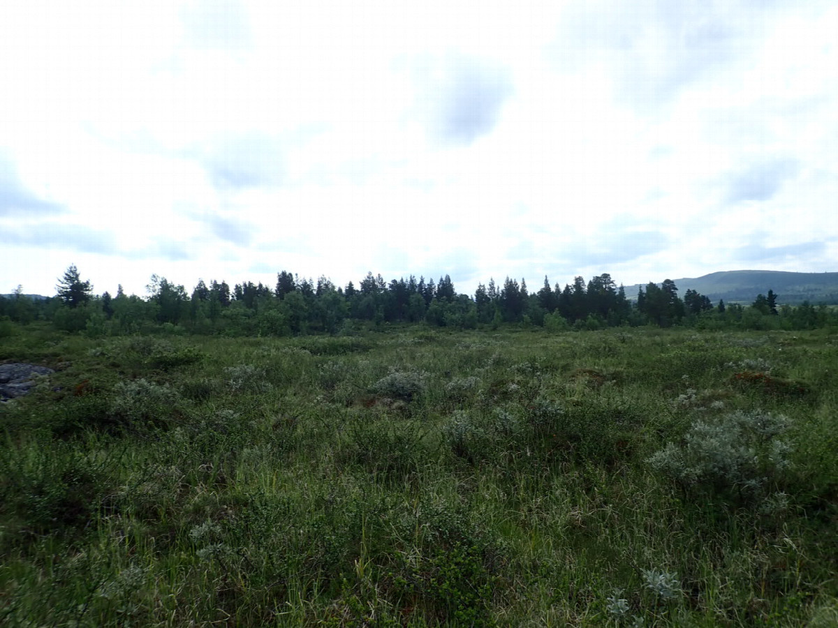 East view / &Ouml;stliche Sicht