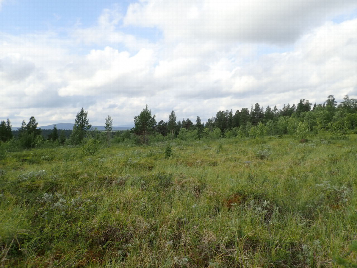 South view / S&uuml;dliche Sicht