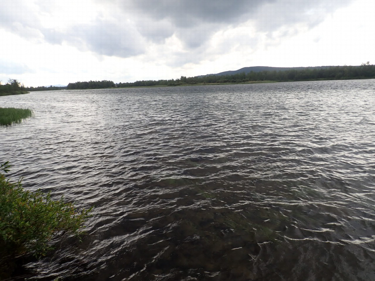 On the big River Rautas / Am Ufer des Rautas Flusses