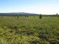 #7: Confluence is just beyond rightmost unforested ridge of Taavinunnanen mountain