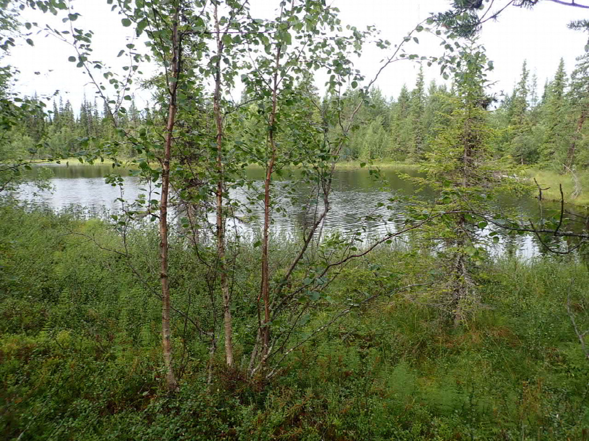 Little Lake near from Point / Kleiner See  200 Meter vor dem Punkt
