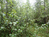 #2: East view / Östliche Sicht