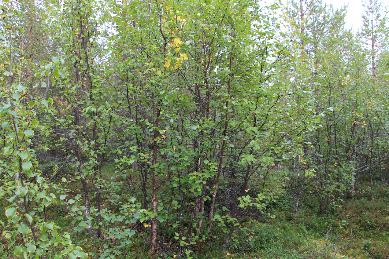 View to the East
