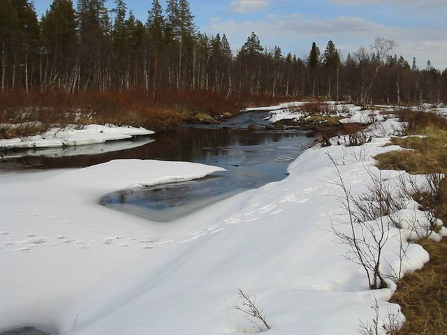 Merasjoki, just south of winter road crossing it. Reindeer tracks on snow