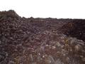 #7: On the 1961 lava field