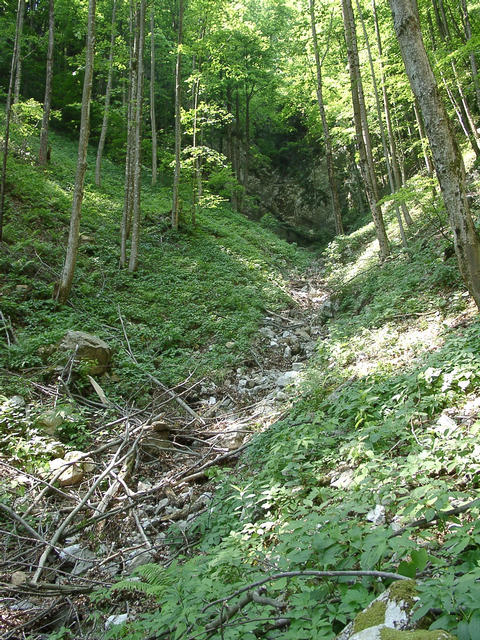 The narrow valley with the dry stream (seen from the East). When there is water, there must be a waterfall over the big rock in the upper part of the picture.