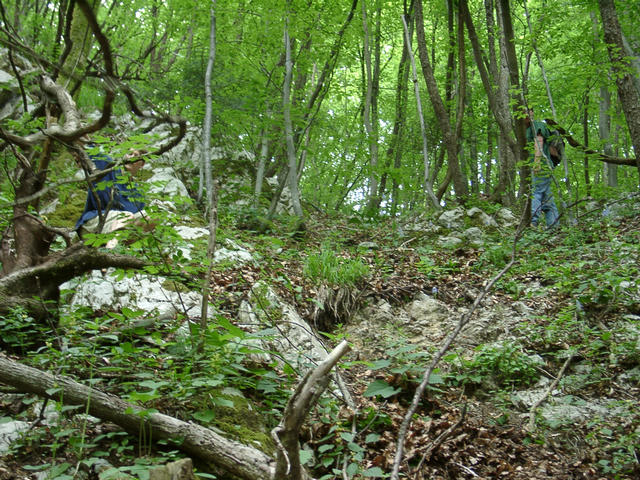 Basti and Michael are climbing down this very steep slope (it took some time). The waterfall is on the right.