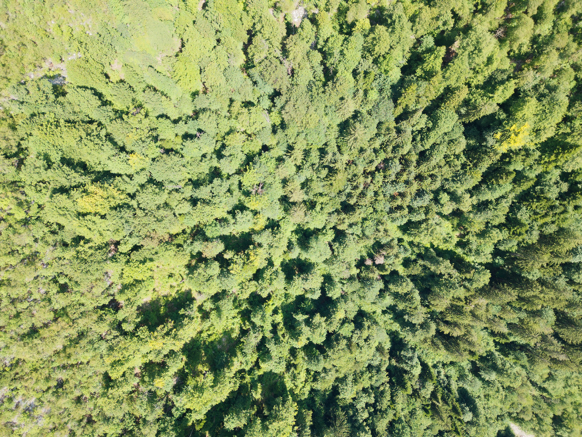 Looking down on the point from a height of 120m