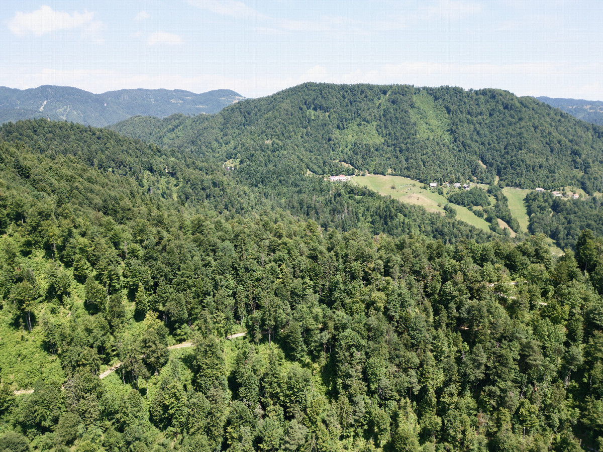 View North, from 120m above the point