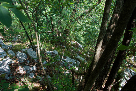#1: The confluence point lies down this very steep, rocky slope.  (This is also a view to the East.)