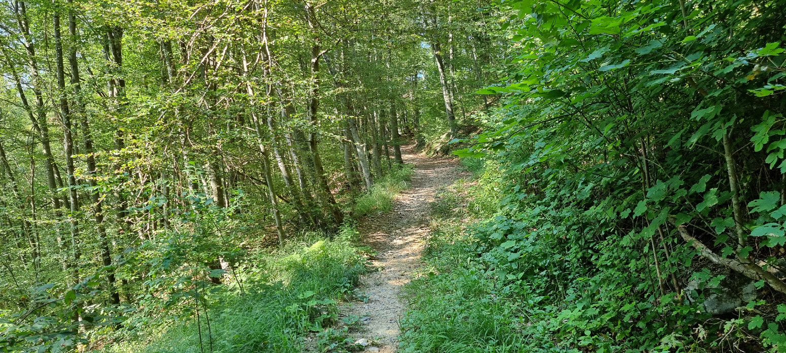 upper part of the track