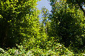 46°N 15°E preview image