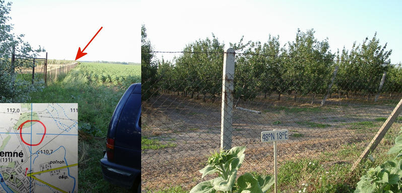 An apple plantation and a confluence just beyond the fence