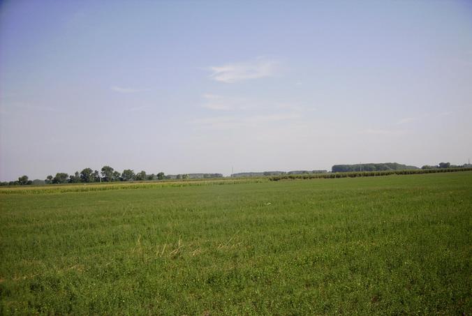 Blick nach Norden / View north