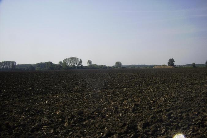 Blick nach Süden / View south