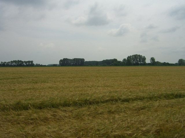 View west / Blick nach Westen