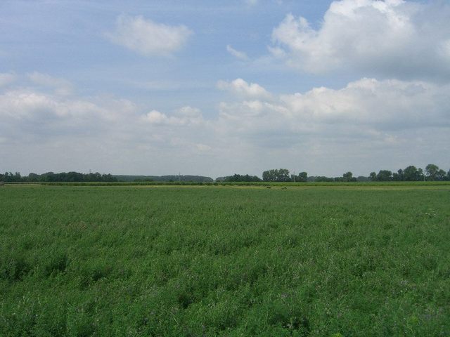 View east / Blick nach Osten