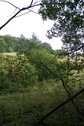 #5: View towards NE from the confluence