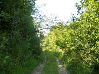 #1: General view of the confluence area ( towards W ) - Widok ogólny w kierunku zachodnim