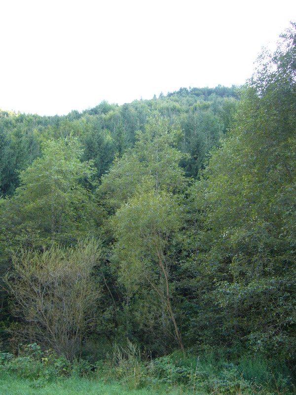 View south from the reservoir towards CP (150 metres)