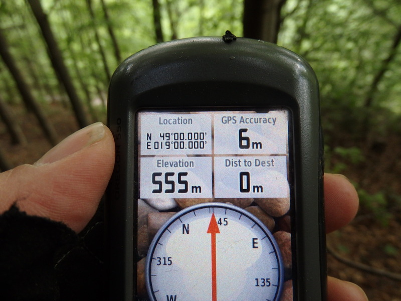 GPS reading