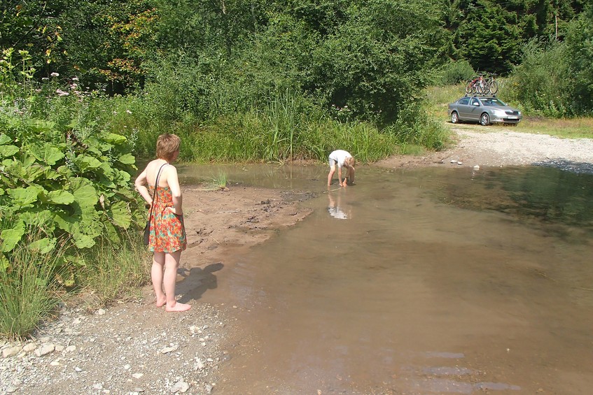 The stream took its prey / Ручей забрал свою добычу