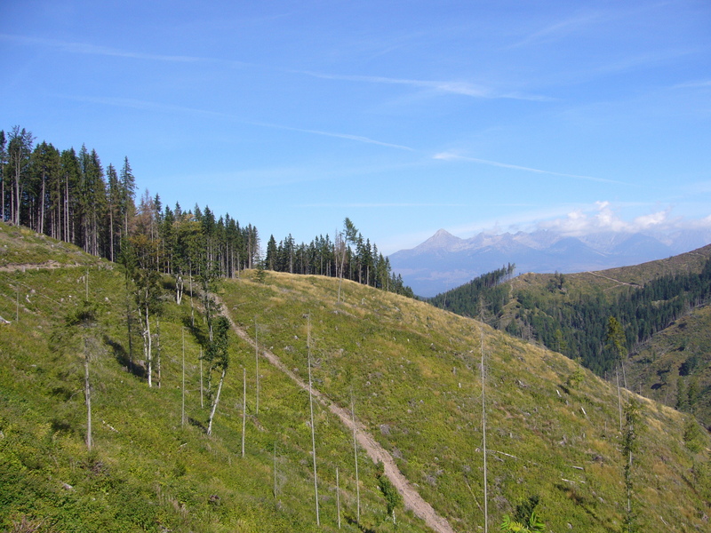 CP 340 metres north on top of the ridge (centre). High Tatra Mountains in the background.