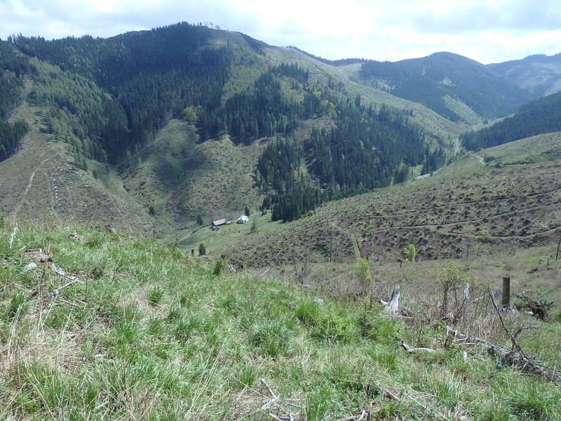 The Confluence from 20 m distance