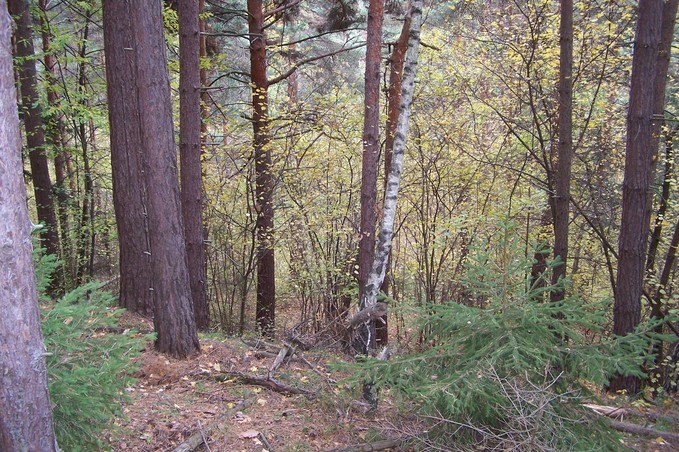 General view of the confluence (towards E)