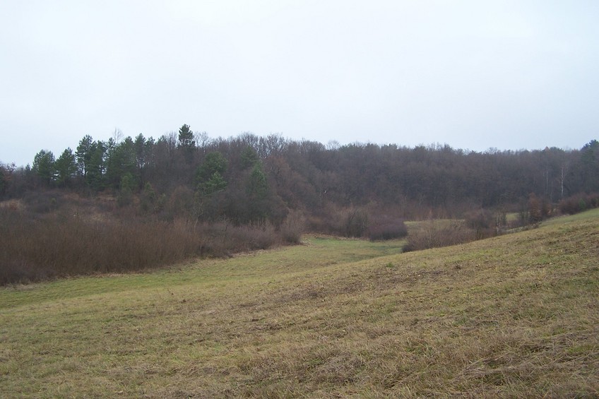 View towards NE from the confluence