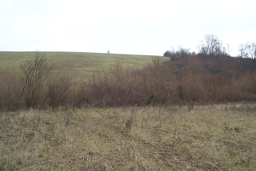 View towards SE (ca. 50 m away from the confluence)