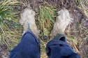 #9: ... and my wellies