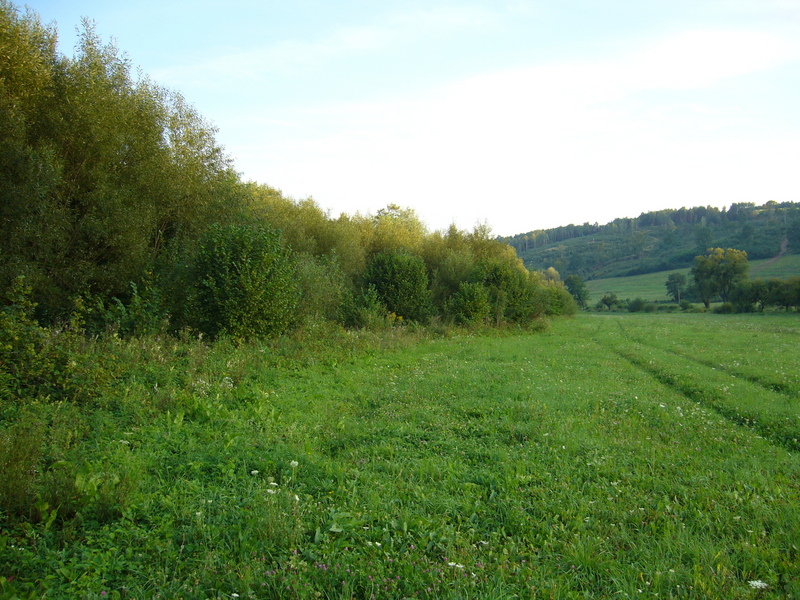 View south few metres west of exact point.