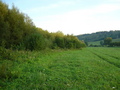 #6: View south few metres west of exact point.