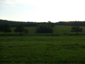 #7: View west few metres west of exact point. Part of the road is visible.