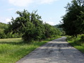 #8: Road