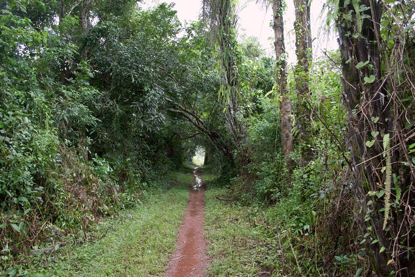 Trail along the railway embankment