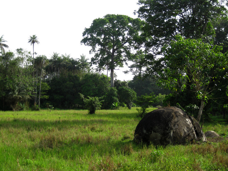 Marshy fields near the Confluence