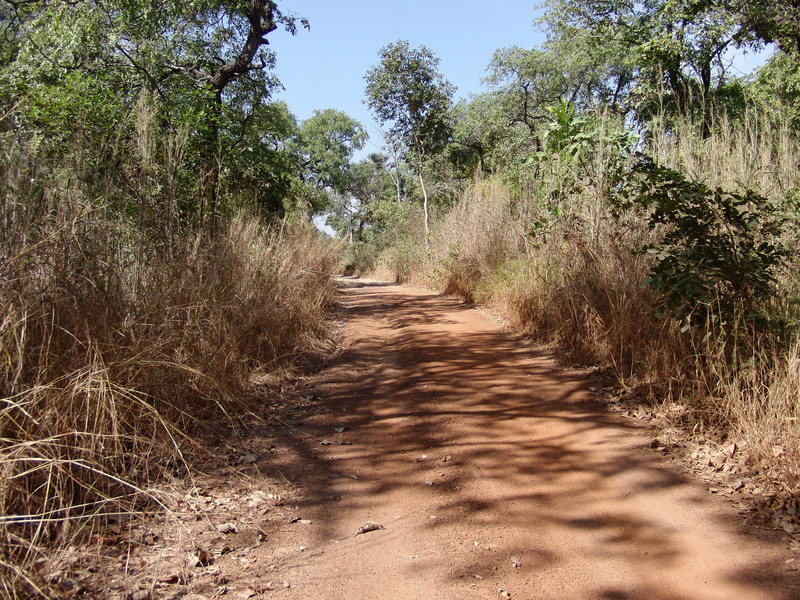 Dirt road to the Confluence