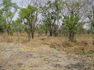 #1: Main view: Confluence is in the foreground