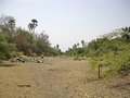 #14: We crossed a dry stretch of the Niokolo Koba River; it's a major tributary of the Gambia River