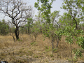 #4: View south from the Confluence