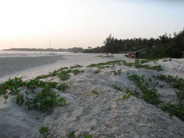 Beach at Cap Skiring