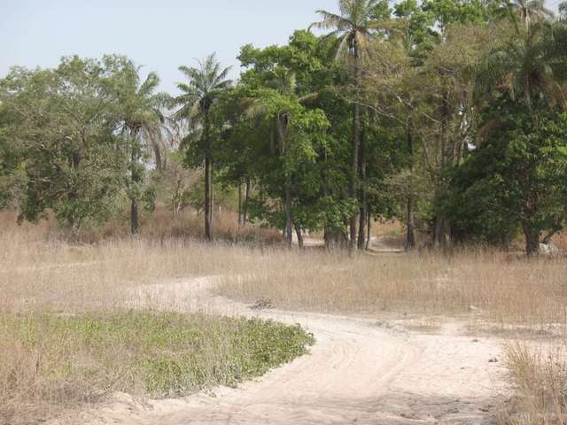 Path leading to the Confluence