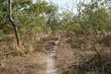 #9: Donkey tracks and bush around the Confluence