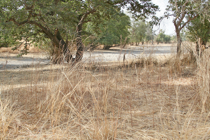 Main view of the Confluence