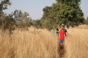 #11: We walked through tall Andropogon grass to reach the site