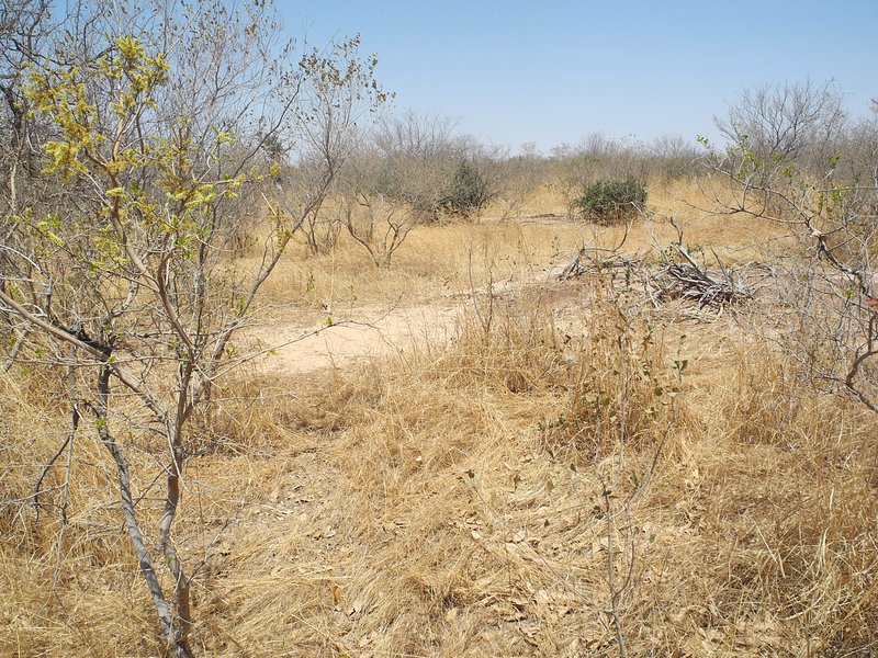 View North from the Confluence