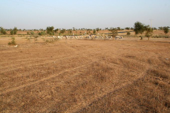 Main view of the Confluence