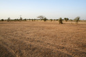 #2: View north from the Confluence